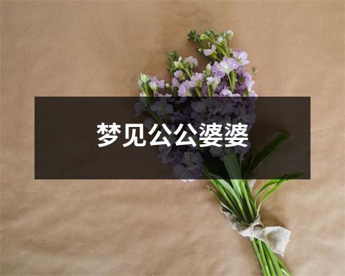 梦见公公婆婆