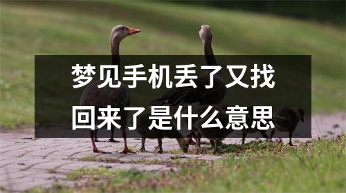 梦见手机丢了又找回来了是什么意思