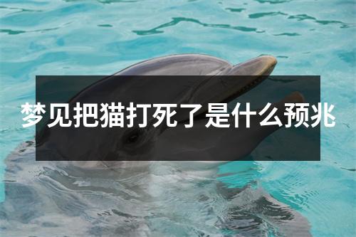 梦见把猫打死了是什么预兆