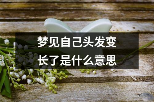 梦见自己头发变长了是什么意思