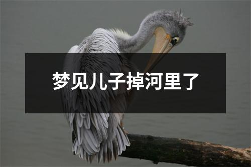 梦见儿子掉河里了