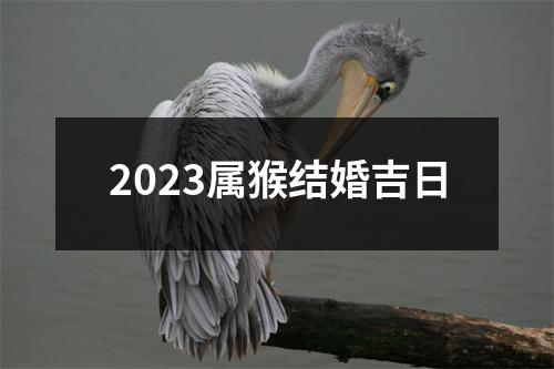 2023属猴结婚吉日