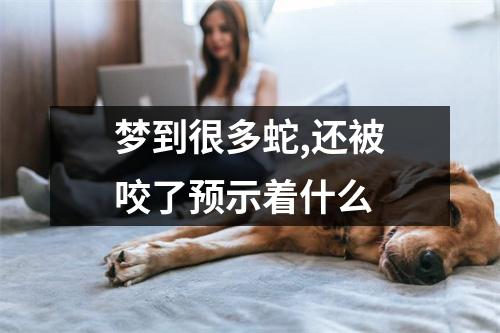 梦到很多蛇,还被咬了预示着什么