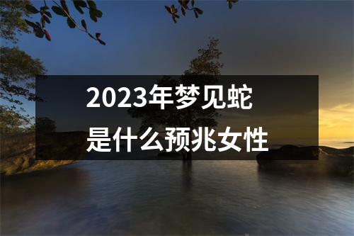 2023年梦见蛇是什么预兆女性