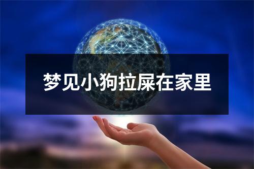 梦见小狗拉屎在家里