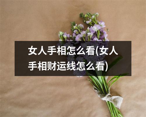 女人手相怎么看(女人手相财运线怎么看)