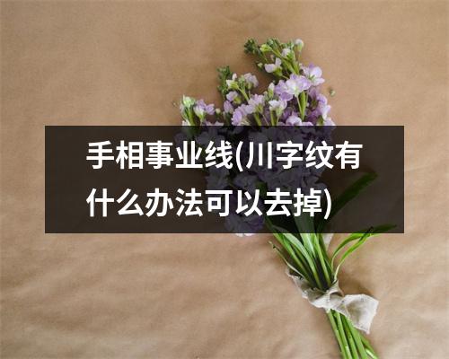 手相事业线(川字纹有什么办法可以去掉)