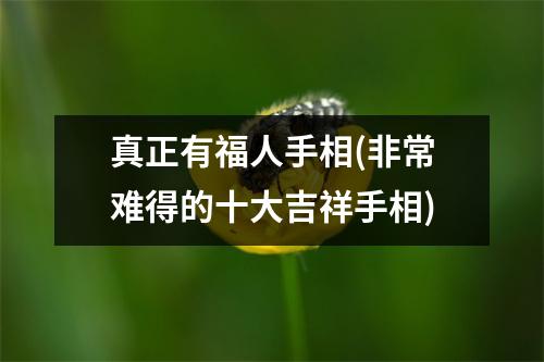 真正有福人手相(非常难得的十大吉祥手相)