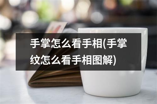 手掌怎么看手相(手掌纹怎么看手相图解)