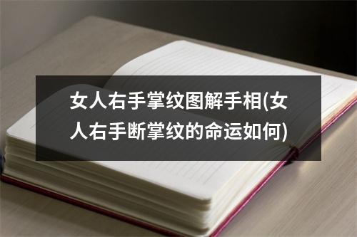 女人右手掌纹图解手相(女人右手断掌纹的命运如何)