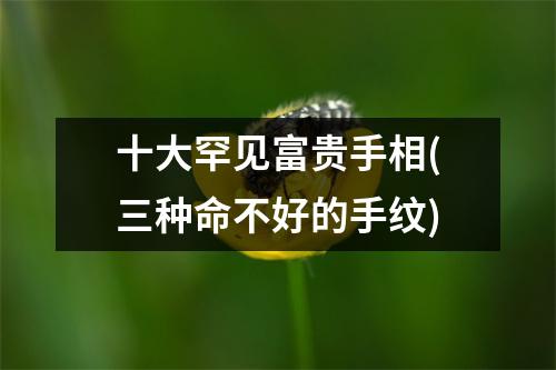 十大罕见富贵手相(三种命不好的手纹)