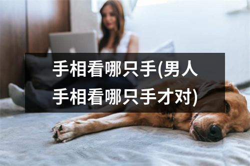 手相看哪只手(男人手相看哪只手才对)