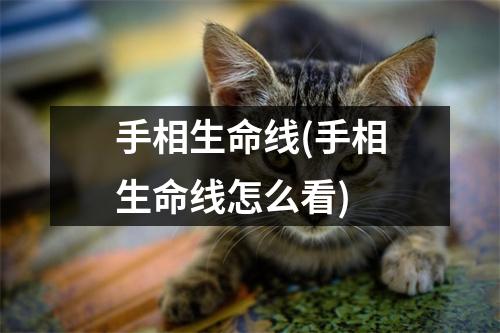 手相生命线(手相生命线怎么看)