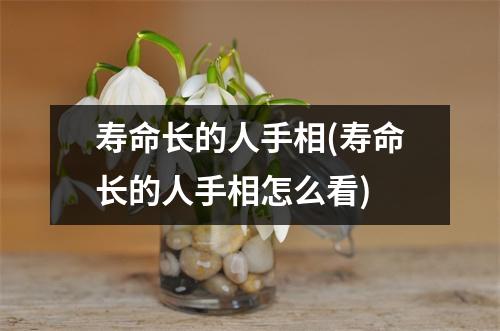 寿命长的人手相(寿命长的人手相怎么看)