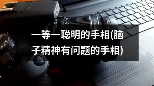 一等一聪明的手相(脑子精神有问题的手相)