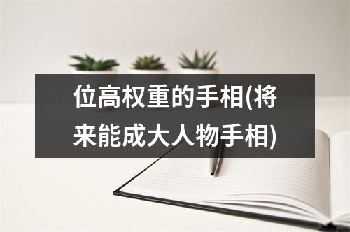 位高权重的手相(将来能成大人物手相)