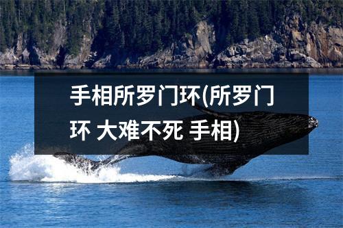 手相所罗门环(所罗门环 大难不死 手相)