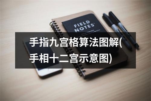 手指九宫格算法图解(手相十二宫示意图)