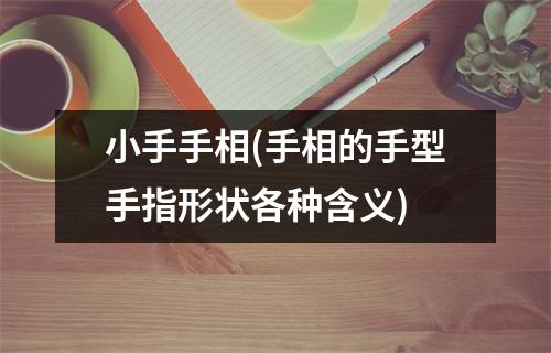 小手手相(手相的手型手指形状各种含义)