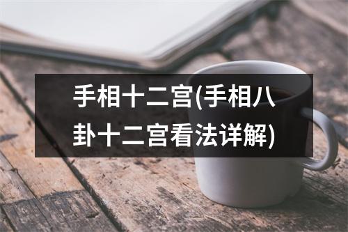 手相十二宫(手相八卦十二宫看法详解)