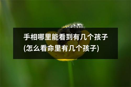 手相哪里能看到有几个孩子(怎么看命里有几个孩子)