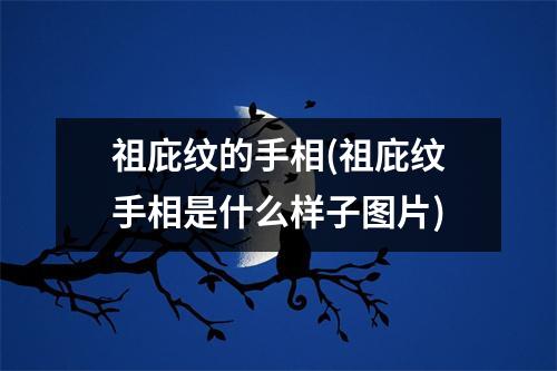 祖庇纹的手相(祖庇纹手相是什么样子图片)