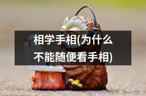 相学手相(为什么不能随便看手相)