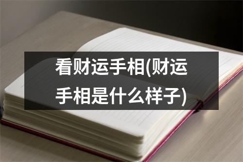 看财运手相(财运手相是什么样子)