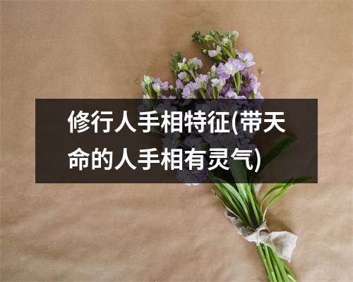 修行人手相特征(带天命的人手相有灵气)