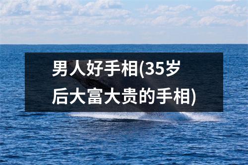 男人好手相(35岁后大富大贵的手相)