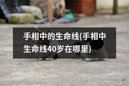 手相中的生命线(手相中生命线40岁在哪里)