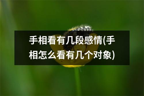 手相看有几段感情(手相怎么看有几个对象)