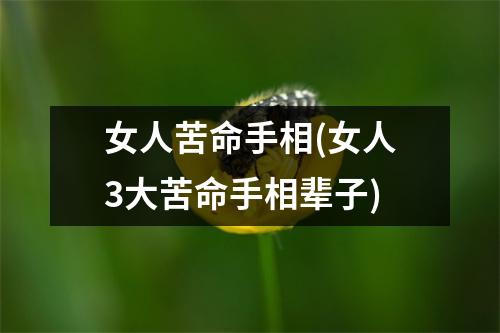 女人苦命手相(女人3大苦命手相辈子)