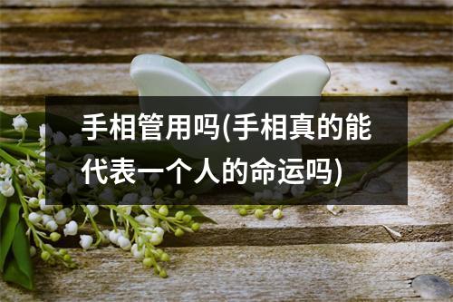 手相管用吗(手相真的能代表一个人的命运吗)