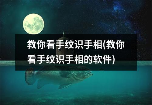 教你看手纹识手相(教你看手纹识手相的软件)