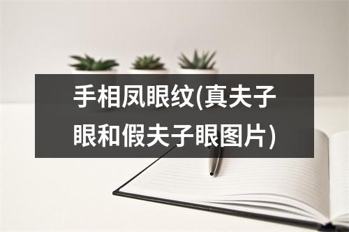 手相凤眼纹(真夫子眼和假夫子眼图片)