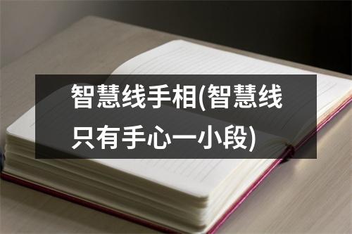 智慧线手相(智慧线只有手心一小段)