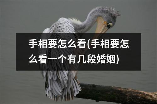 手相要怎么看(手相要怎么看一个有几段婚姻)