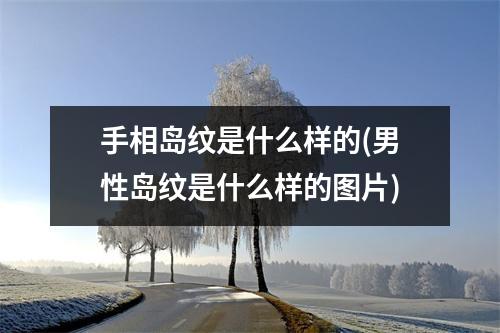 手相岛纹是什么样的(男性岛纹是什么样的图片)