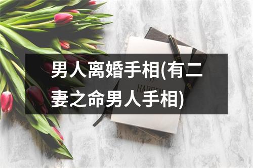 男人离婚手相(有二妻之命男人手相)