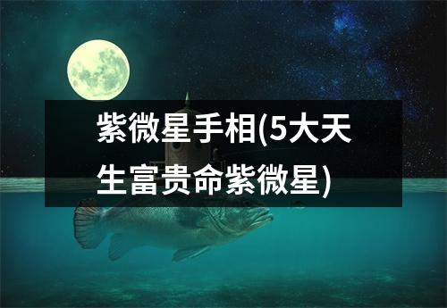 紫微星手相(5大天生富贵命紫微星)