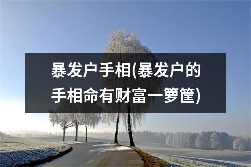 暴发户手相(暴发户的手相命有财富一箩筐)