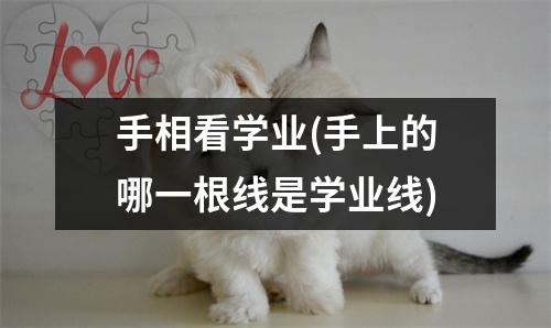 手相看学业(手上的哪一根线是学业线)