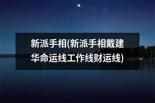 新派手相(新派手相戴建华命运线工作线财运线)