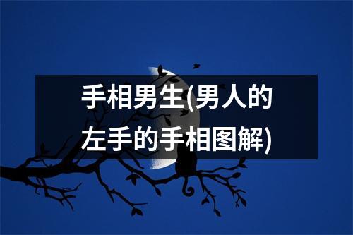 手相男生(男人的左手的手相图解)