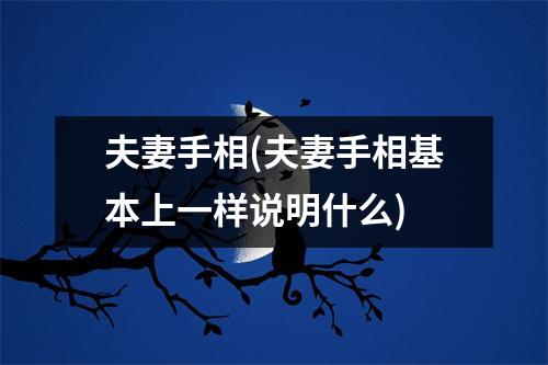 夫妻手相(夫妻手相基本上一样说明什么)