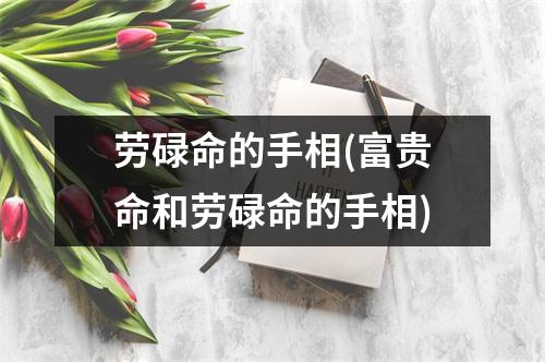 劳碌命的手相(富贵命和劳碌命的手相)