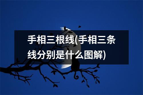 手相三根线(手相三条线分别是什么图解)