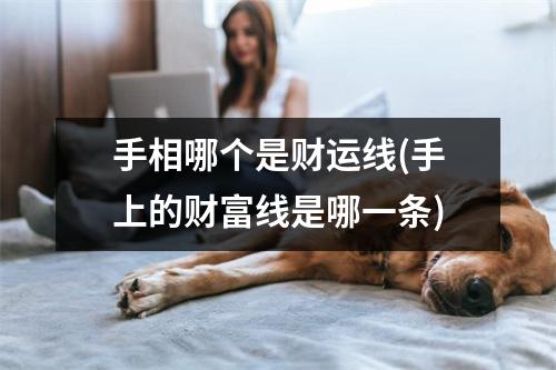 手相哪个是财运线(手上的财富线是哪一条)