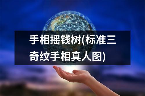 手相摇钱树(标准三奇纹手相真人图)